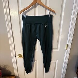 Gymshark 2.0 Seamless Leggings